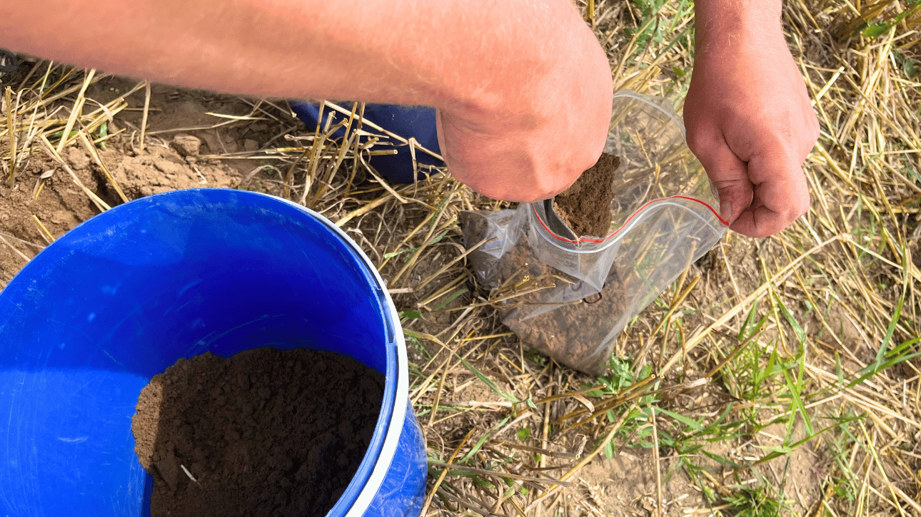 Pobranie prób glebowych po zbiorze